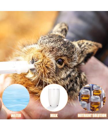 Buy Baby Bird Feeding Syringe - 1 Piece Dispenser with 20 Sterile Hoses for Small Animals Kittens & Puppies - Ideal for Scientific & Industrial Labs - Buy Online on GoSupps.com
