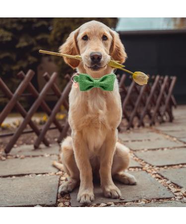 Dogwong Green Dog Collar with Removable Fly | Adjustable & Comfortable Pet Collar for Small & Medium Dogs | Perfect Gift for Girls | (Pack of 1) - Buy Online on GoSupps.com