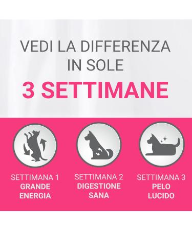PURINA ONE Mini Dog Food - Beef Duck & Vegetables (Pack of 40 x 100g) - Premium Pet Nutrition for Healthy Dogs - Buy Online on GoSupps.com