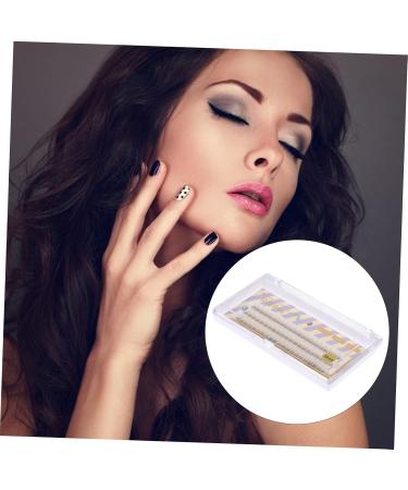 FOMIYES 2 Boxes Fake Eyelashes Dense Eyelashes Long Extension Eyeslash Grating Eyelash Individual Lash Long Eyelash Lash Extension False Lash Strip Eyelashes Fiber Caramel Colour Cosmetics - Buy Online on GoSupps.com