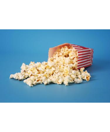 Popcornloop 60 Pack Striped Popcorn Bags - Wedding & Party Candy Boxes - Red White & Beige Snack Containers - Buy Online on GoSupps.com