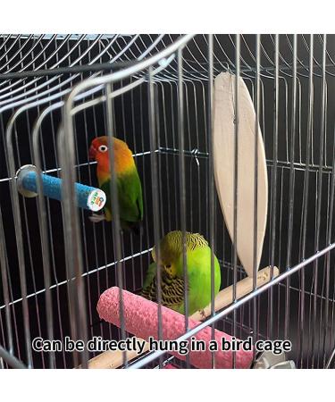 Buy Sepia Bowls & Shells for Turtles | 6-Piece Miniature Sepia Shells & Squid Bones for Birds | Premium Quality Decorative Bird Tools - Buy Online on GoSupps.com