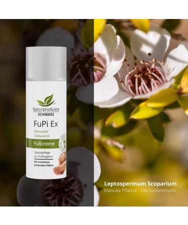  Naturprodukte Schwarz Naturprodukte Schwarz FuPi Cream with Tea Tree Oil and Manuka Oil for Foot Hygiene Skin Care for Itching Between Toes 50 ml - Buy Online on GoSupps.com
