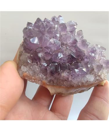 Natural Crystal Rough 1pc Natural Raw Amethyst Quartz Crystal Cluster Stones Home Decoration Crafts Piedras naturales y (Size : 20-30g) - Buy Online on GoSupps.com