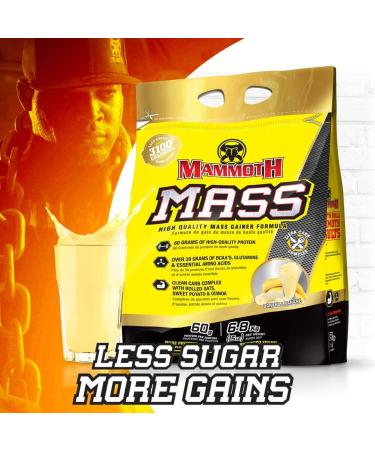 MAMMOTH Mass Weight Gainer Powder 15lb - High Calorie Protein Shake for Weight Training | Low Sugar, Whey Isolate & Casein Protein Blend | Vanilla Flavor - Buy Online on GoSupps.com