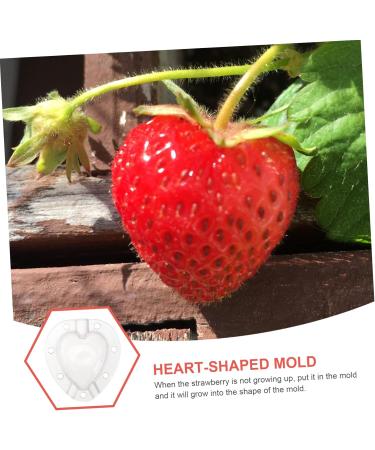 Mipcase 15 Pcs Fruit Shaping Mold Vegerables Forming Tool Cucumber Shaping Tool White Garden Tools Modeling 4.5x4cmx3pcs Whitex3pcs - Buy Online on GoSupps.com