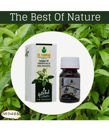 Elhawag Camphor Oil Pure & Natural Cold Pressed (1 Pack 1.01 oz / 30 ml) Concentrated Crude Perfect Fresh For Food Cooking Body Egypt Non Gmo Kosher Halal  - Buy Online on GoSupps.com