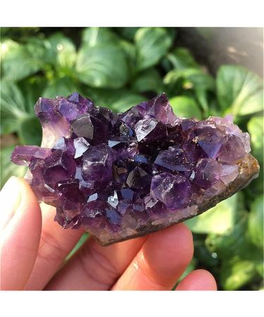 Amethyst Rough Stone Mix Random Dream Amethyst Quartz Crystal Cluster Specimen (Color : 180-200g Size : Mix Random) (Color : 100-130g Size : Mix Random) Mix random 100-130g - Buy Online on GoSupps.com