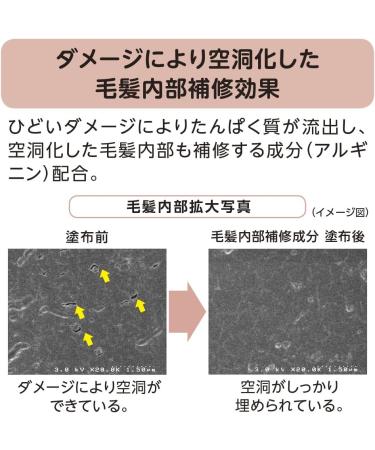 TSUBAKI JAPAN TSUBAKI repair milk 100ml - Buy Online on GoSupps.com