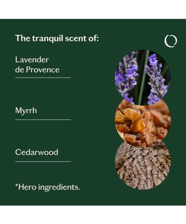 Relaxed Essential Oil Blend - Lavender Myrrh & Cedarwood | Pure Aromatherapy | Crafted in France - For Skin & Diffuser - Buy Online on GoSupps.com