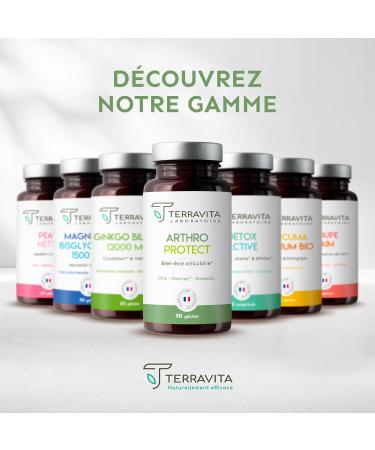 Arthro Protect | Formule Articulation avec PEA + Ovomet (Glucosamine Chondro tine Collag ne MSM) + Boswellia | Soulage et Prot ge les Articulations | 90 G lules Vegan | Made in France | Terravita - Buy Online on GoSupps.com