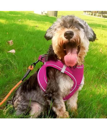 Joyal Reflective Soft Padded Dog Dishes - Air-Mesh Breathable for Small & Medium Dogs - Bright Pink L (47-55cm) - International Shipping - Buy Online on GoSupps.com