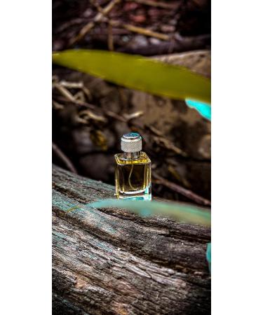 Para'dice Perfume for Men Eau De Parfum Luxury Parfum for Unisex Long Lasting Luxury Perfume Scent for Occasions See you later Collection 50ML (See you later 50Ml) - Buy Online on GoSupps.com