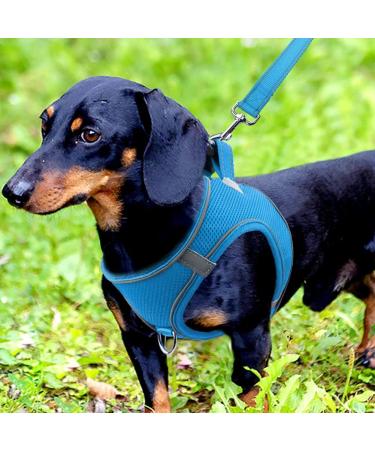 Joyal Dog Harness - Reflective Soft Padded Air-Mesh for Small & Medium Dogs (42-47cm) - Baby Blue - Buy Online on GoSupps.com
