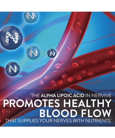 Nervive Nerve Health with Alpha Lipoic Acid - Supports Healthy Nerve Function in Fingers, Hands, Toes & Feet - 60 Daily Tablets with ALA, Vitamins B12, B6 & B1 - Buy Online on GoSupps.com