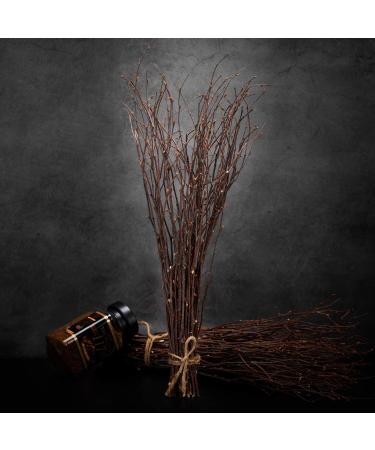 100% Natural Birch Branches for DIY Crafts and Home Decor - 200pcs (17inch) - Buy Online on GoSupps.com