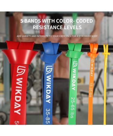 WIKDAY Resistance Bands Set for Exercise - Heavy Duty Pull Up Bands with Door Anchor - Elastic Bands for Body Stretching - Crossfit Training at Home Gym - Men & Women - Multi Color - Buy Online on GoSupps.com