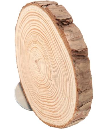 Round Wooden Springboard Parrot Perch Stand Toy - Small Parakeets, Cockatiels, Hamster (6cm) - Buy Online on GoSupps.com