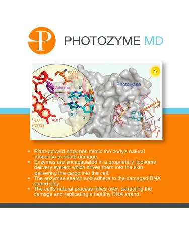 Photozyme DNA Repair Enzymes GFS Plus Facial Night Serum | 0.5% Retinol Anti-Aging Skincare | Dark Spot Corrector for Fine Lines & Acne Scars | Non-Irritating Beauty Treatment - Buy Online on GoSupps.com