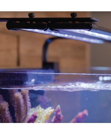 Current USA Orbit LED Tank Mount Bracket - Adjustable, Black - Buy Online on GoSupps.com