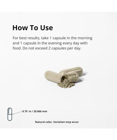 R tean Gut Keeper - Psyllium Husk Slippery Elm Bark Ginger Root Inulin - Digestive and Immune Support - 60 Capsules - Buy Online on GoSupps.com