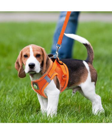 Buy Zhenle Adjustable Cat Harness for Small Animals - Perfect Fit & Comfort for Cats (M) - International Shipping Available - Buy Online on GoSupps.com
