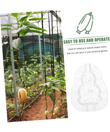 KONTONTY 3pcs Vegetable Small Mould Growth Forming Ginseng Small Fruit Plastic Gourd - Buy Online on GoSupps.com