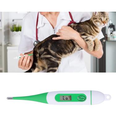 Pet Fever Thermometer Digital Fever Thermometer for Horse Cattle Pet Thermometer Waterproof Animal Thermometer with LCD Screen for Pigs Sheep Cattle Dogs Cat - Buy Online on GoSupps.com