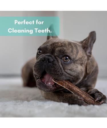 EZ Antler Chews - Elk Antlers for Dogs - Medium Whole (2 Pack) - Dogs Under 25kg - Dog Treats Dog Chews - Marrow Bone Dog Treats - Naturally Shed Preservative Free Cruelty Free - Antler Dog Chew - Buy Online on GoSupps.com