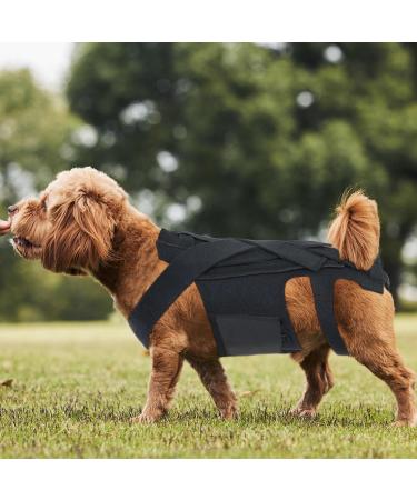 Back Bracer for IVDD in Dogs Dog Back Brace for Dogs Arthritis Spinal Surgical Recovery Herniated Disc Slipped Disc Rehabilitation Adjustable Back Support Back Protector (L) - Buy Online on GoSupps.com
