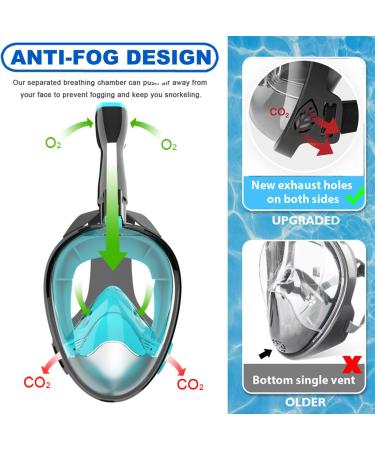 Jwintee Full Face Snorkel Mask | 180 Panoramic View for Kids and Adults | Camera Mount | Anti-Leak & Anti-Fog | Safe Breathing | Green/Black Medium - Buy Online on GoSupps.com