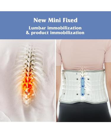 Decompression Back Belt for Pain Relief 2024 | One-Touch Back Support Brace & Posture Corrector | Disk Dr. WG50 G2 - Upgraded Double Belt M/L - Buy Online on GoSupps.com