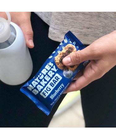 Nature's Bakery Whole Wheat Fig Bars - 24 Twin Pack, 2oz per Fig, 24 Count - Buy Online on GoSupps.com