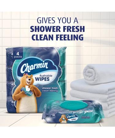 Charmin Flushable Wipes - 480 Total Wipes, 12 Packs of 40, Packaging May Vary - Buy Online on GoSupps.com