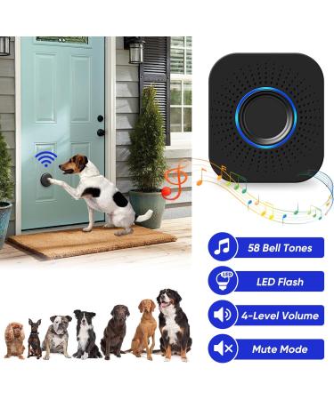 Buy Mypin Wireless Doorbell | Best International Shipping & Quality Satisfaction - Buy Online on GoSupps.com