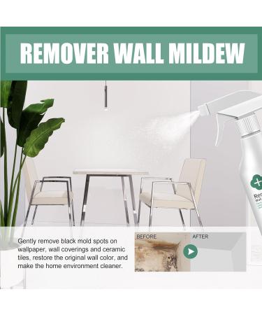 KOAHDE Bathroom Mould and Mildew Cleaner Mould Removal Foam Spray Cleaner Mould Foam Spray Wall Tiles Bathroom Cleaning Spray Removes Mouldy Stains From Walls Professional Anti Mould Spray 60ML 1PC - Buy Online on GoSupps.com