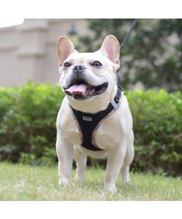 Doramio Dog Harness for Small Dogs & Cats | Reflective Breathable Anti-Pull Leash | Step-In Design | Perfect for Travel | Black Yellow (L) - Buy Online on GoSupps.com