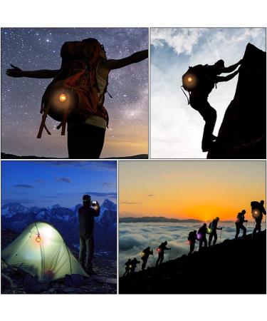 YMCCOOL LED Dog Collar Light Clip-On Pet 6 Pack Dog Lights for Collars Keychain Light with 6 Extra Replacement Batteries - Waterproof Safety Flashlight of Dogs and Cats Gifts for Pets Colorful 6 - Buy Online on GoSupps.com