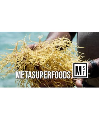 Sea Moss and Bladderwrack 60 Capsules (3600mg) High Potency - Vegan, UK Made, Wild Harvested | Non GMO, No Fillers - Buy Online on GoSupps.com