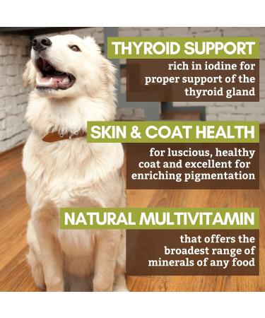 Organic Wholistic Pet Organics Sea Kelp Powder for Dogs - Promotes Healthy Teeth, Thyroid Function, Skin & Coat - Rich in Iodine, Iron, Calcium & Antioxidants - 1 lb - Buy Online on GoSupps.com