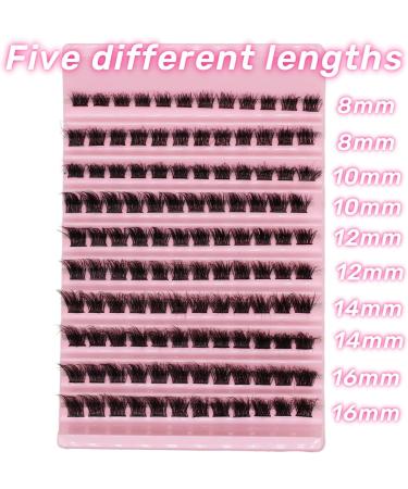 Selawasty 120 Lash Clusters D Curl Individual Eyelash Extensions - Wispy DIY Clusters for At-Home Application - Buy Online on GoSupps.com