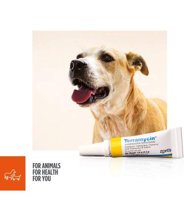 Zoetis Terramycin Antibiotic Ophthalmic Ointment 1/8 oz - Animal Health Solution - Buy Online on GoSupps.com