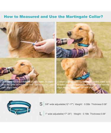 Adjustable Heavy-Duty Martingale Collars for Dogs - Soft Glatted Light - Large Turquoise Green - Perfect for Small & Large Breeds - Buy Online on GoSupps.com