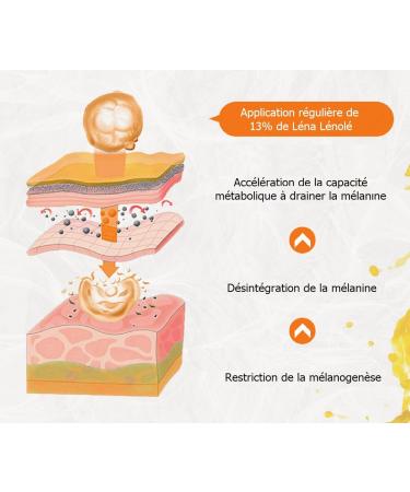 L NA L NOL - Anti-Wrinkle Cream for Women & Men - Anti-Aging & Dark Circles - Hyaluronic Acid - Retinol Collagen Vitamin C Plants - All Skin Types - 100% Natural and Vegan - Highly Concentrated (13%) - Buy Online on GoSupps.com