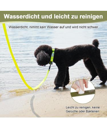 Buy XBen 5m Waterproof Dog Tow Lines - Rubberized Drag Line with Lockable Carabiner | Ideal Leash for Small & Medium Dogs | Durable Training Line with Hand Loop - Green - Buy Online on GoSupps.com