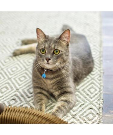 Kalione 10-Piece Cat & Dog Bells Set | Premium Metal Collar Bells for Pets | Perfect for Christmas Decoration - Buy Online on GoSupps.com