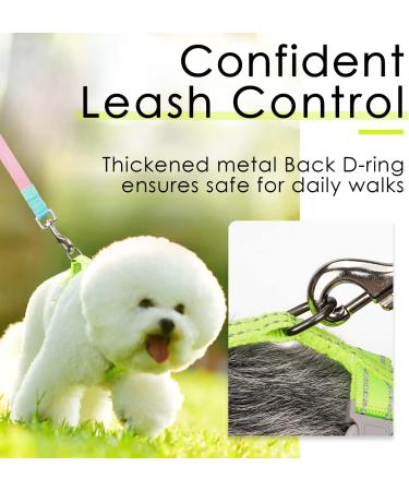 Thinkpet No-Pull Dog Harness Leash Set | Breathable Adjustable Harness for Small Medium & Large Dogs | Padded Reflective Safety Control | Yellow - Buy Online on GoSupps.com
