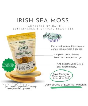 Irish Sea Moss from Ireland | Wildcrafted Chondrus Crispus | Raw Golden Irish Moss - Buy Online on GoSupps.com