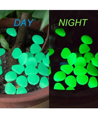 Halcyerdu 200 Pcs Fluorescent Pebble Stones - Bright Green Night Light Stones for Aquarium & Garden Decoration - Buy Online on GoSupps.com