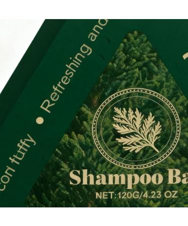  Generisch Solid Shampoo | Conditioner with 120g Light Shampoo for Hair Care | for Hair Repair & Regrowth for Home Travel Shower Leather - Buy Online on GoSupps.com